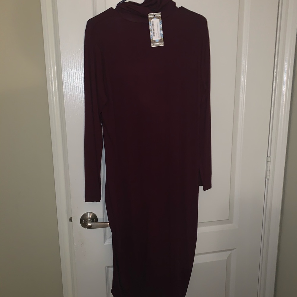 Burgundy form fitting dress